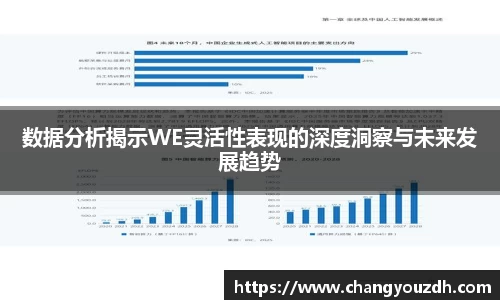 数据分析揭示WE灵活性表现的深度洞察与未来发展趋势
