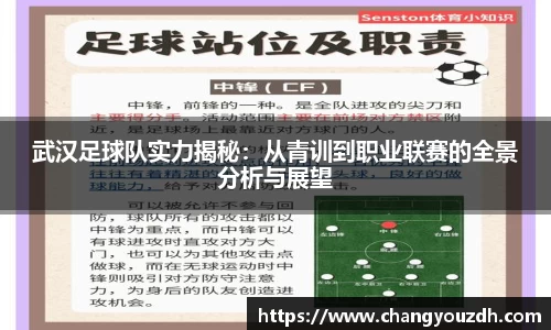 武汉足球队实力揭秘：从青训到职业联赛的全景分析与展望