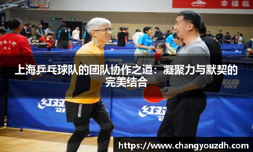 上海乒乓球队的团队协作之道：凝聚力与默契的完美结合